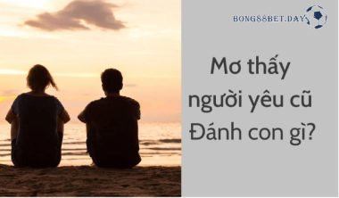 Mơ thấy người yêu cũ đánh con gì để sớm cập bến đổi đời