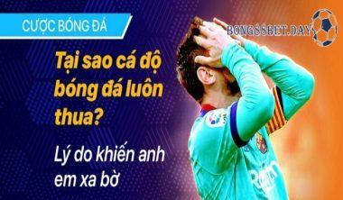 Tại sao cá độ bóng đá luôn thua và giải pháp tránh thua lỗ