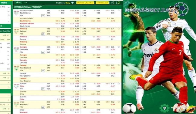 Mẹo soi tỷ lệ cá cược bóng đá cho dân cược mới